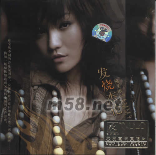 發燒杰倫專輯正面圖片