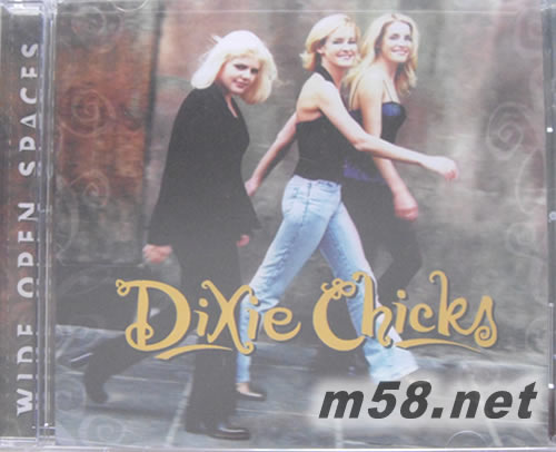 Wide Open Spaces專輯正面圖片