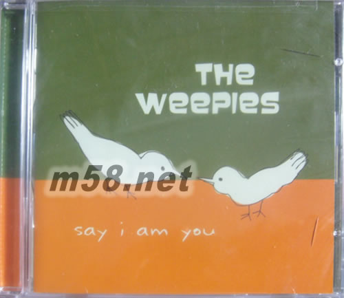 SAY I AM YOU(民謠)專輯正面圖片