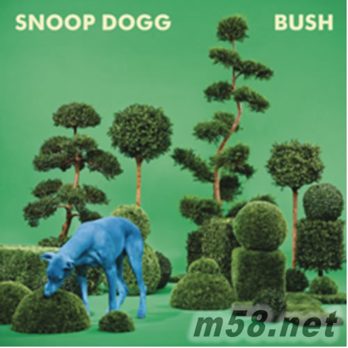 Bush 狗狗叢林專輯正面圖片