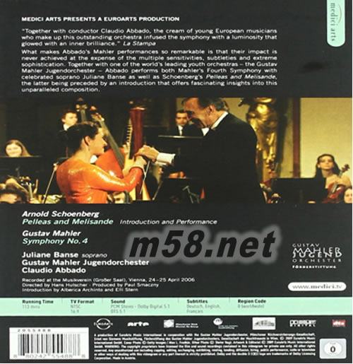 ABBADO CONDUCTS THE GUSTAV MAHLER YOUTH ORCHESTRA DVD專輯背面圖片