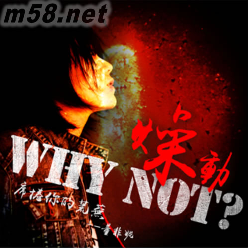 Why Not?燥動專輯正面圖片