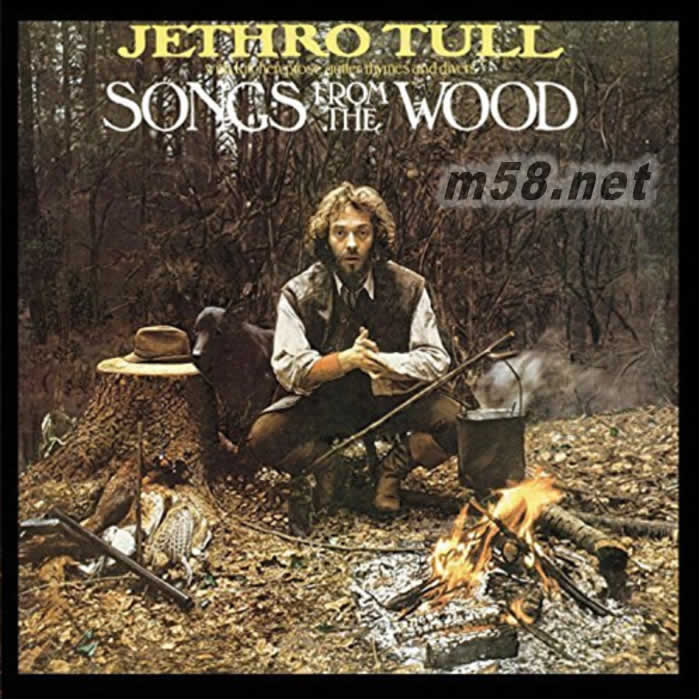 Songs From The Wood (40th Anniversary Edition) 黑膠專輯正面圖片
