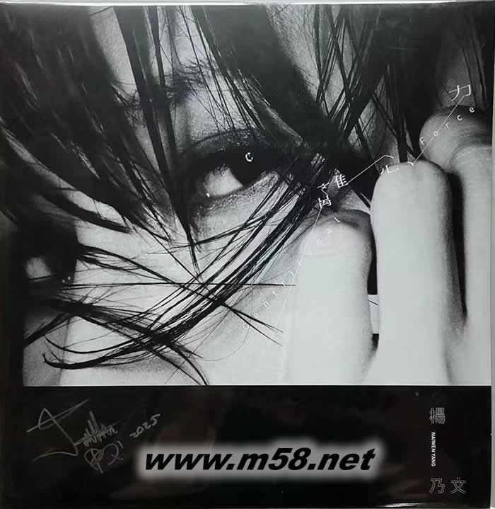 離心力 透明灰膠盤限量簽名版 黑膠專輯正面圖片